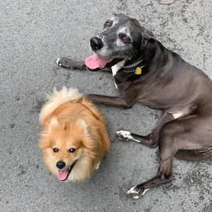 Meet your Posher, Chrissy